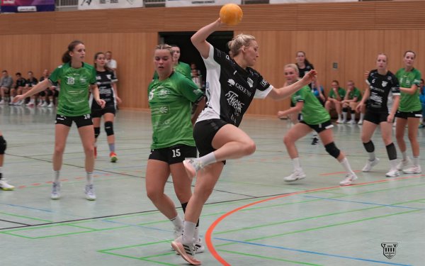 DSC06631-1-3
