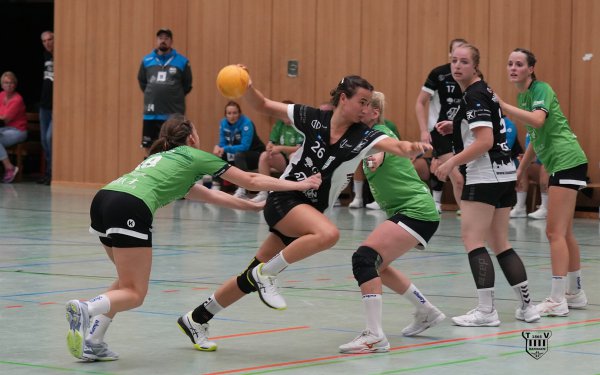 DSC06649-1-3
