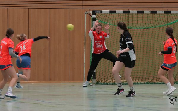 DSC09210-1_jpg-3