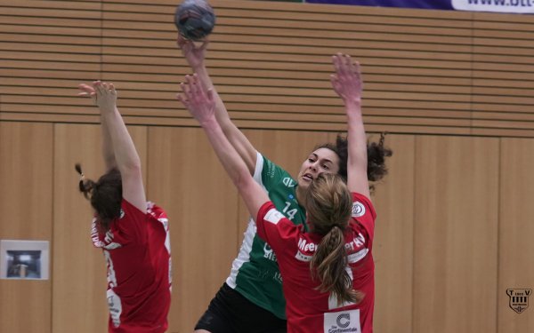 DSC00180-1-3