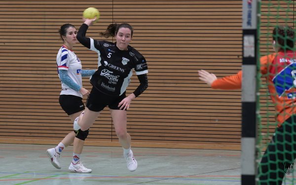 DSC01164-1-3