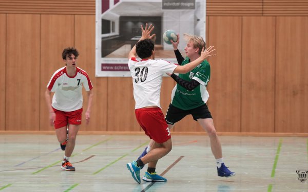 DSC02803-2-3