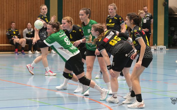 DSC09366-1-3