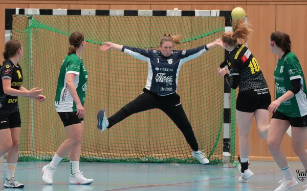 DSC03466-1-3