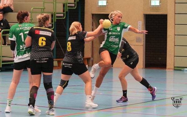 DSC03654-1-3