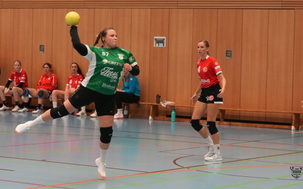 DSC02250-1-3