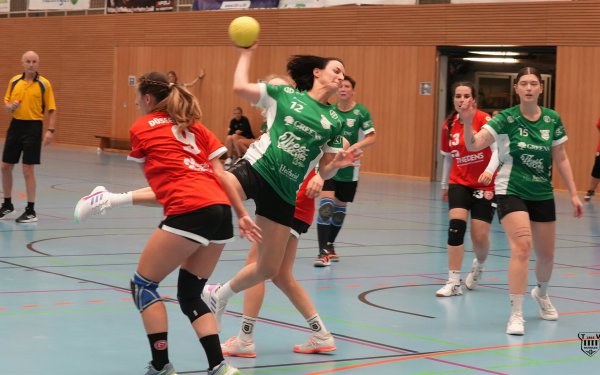 DSC02257-1-3