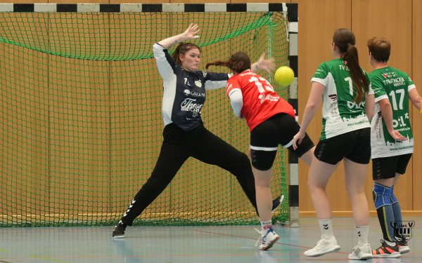 DSC02273-1-3