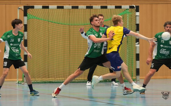 DSC04597-1-3