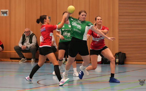DSC08344-1-3