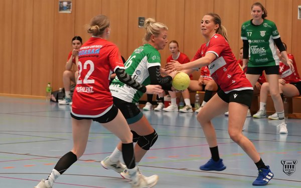 DSC08382-1-3