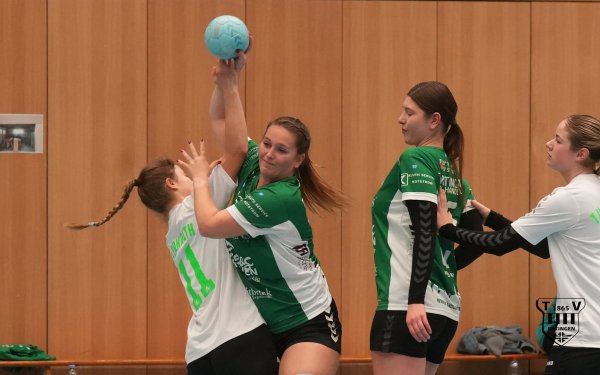 DSC02537-1-3