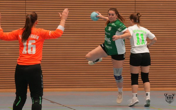 DSC02543-1-3