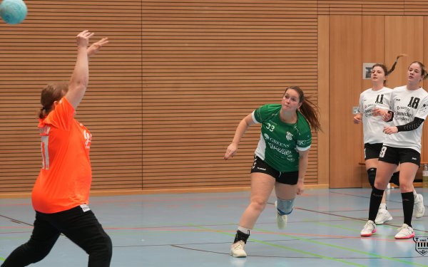 DSC02703-1-3