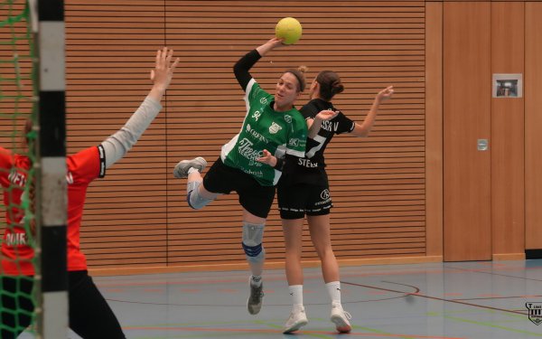 DSC03303-1_jpg-3