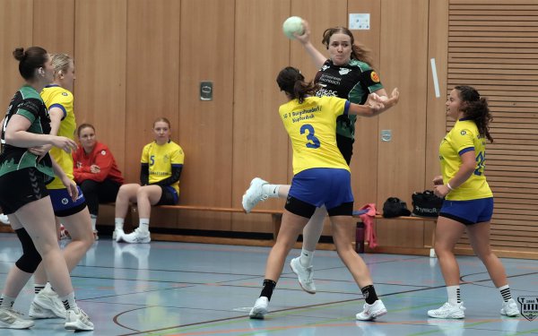 DSC07660-1_jpg-3