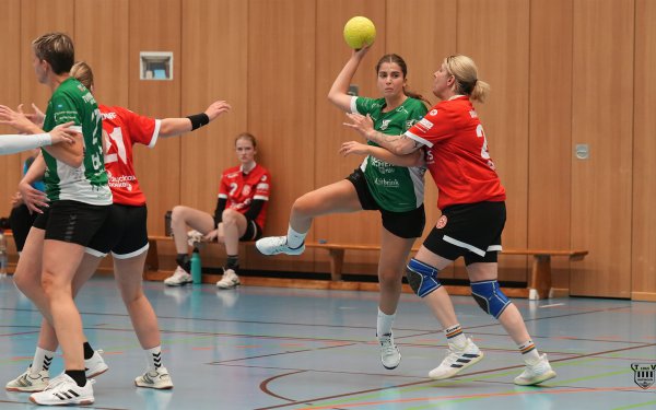 DSC02128-1-3