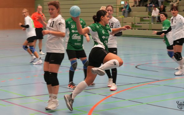 DSC02667-1-3