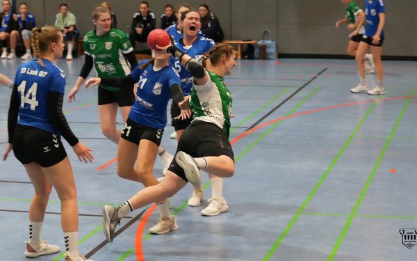 DSC03095-1_jpg-3