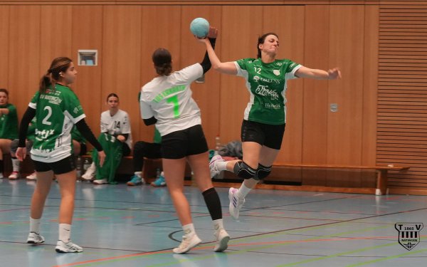 DSC02785-1-3