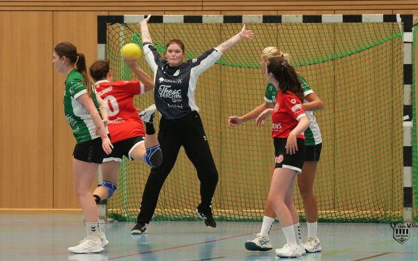 DSC02330-1-3