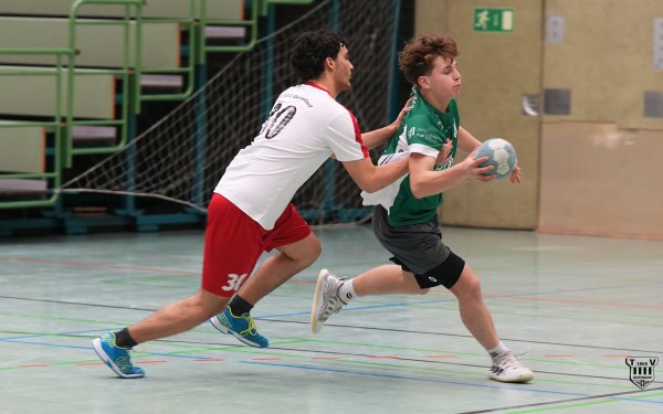 DSC02963-1-3