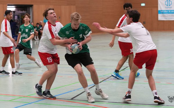 DSC03119-1-3
