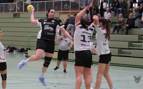 DSC01042-1-3