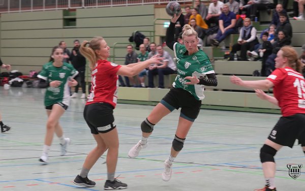 DSC00294-1-3