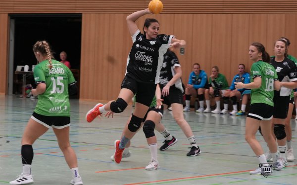 DSC06491-1-3