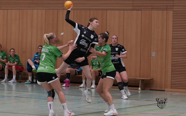 DSC06699-1-3