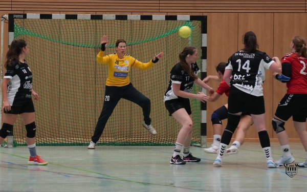 DSC05994-1_jpg